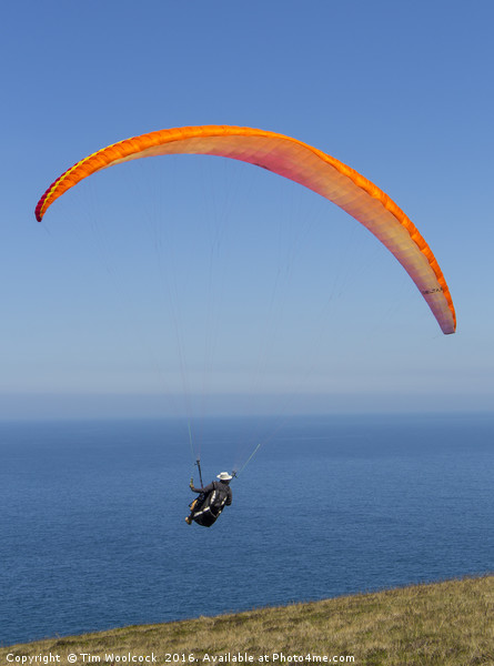Paraglider enjoying the beautiful weather  Picture Board by Tim Woolcock