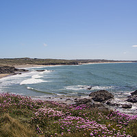 Buy canvas prints of Godrevy Beach, Cornwall by Tim Woolcock