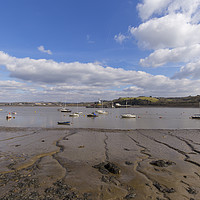 Buy canvas prints of River Tamar  by Tim Woolcock