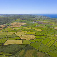 Buy canvas prints of Aerial photograph of a patchwork of farmers fields near St Ives by Tim Woolcock