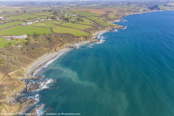 Headland near Portscatho, Cornwall Picture Board by Tim Woolcock
