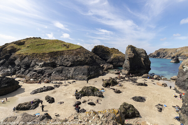 Kynance Cove on a stunning sunny day. Picture Board by Tim Woolcock