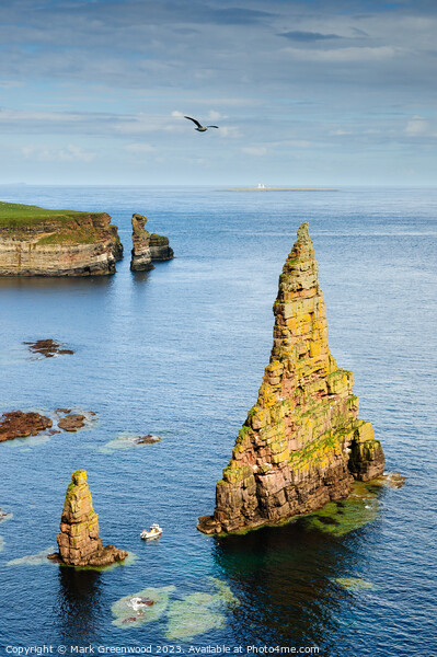 Duncansby Sea Stacks Framed Print by Mark Greenwood