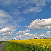 Buy canvas prints of Blue sky above yellow rape fields by Jordan Hawksworth