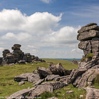 Buy canvas prints of Staple Tor Dartmoor by Bruce Little