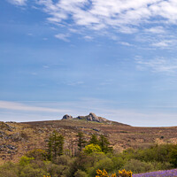 Buy canvas prints of Haytor View by Bruce Little