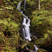 Buy canvas prints of Dartmoor Woodland Waterfallo by Bruce Little