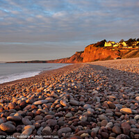 Buy canvas prints of Budleigh beach at dawn by Bruce Little