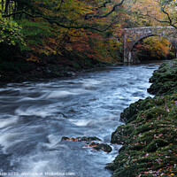 Buy canvas prints of River Dart at Holne Bridge by Bruce Little