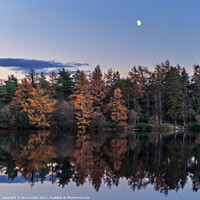 Buy canvas prints of Enchanting Moonrise over Still Waters by Bruce Little