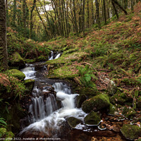 Buy canvas prints of Venford Brook in Dartmoor by Bruce Little