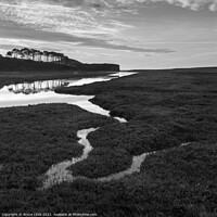 Buy canvas prints of Budleigh Salterton Trees in Mono by Bruce Little