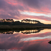 Buy canvas prints of Pre-Dawn Pinks at Budleigh Salterton by Bruce Little