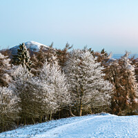Buy canvas prints of Winter Wonderland by Bruce Little