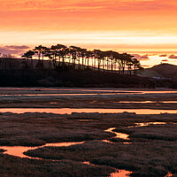 Buy canvas prints of Red Budleigh Creeks  by Bruce Little