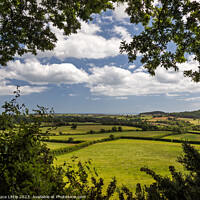 Buy canvas prints of Serene East Devon Landscape by Bruce Little