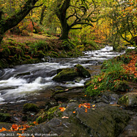Buy canvas prints of Autumnal Dartmoor River by Bruce Little