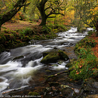 Buy canvas prints of Dartmoor River in Autumn by Bruce Little