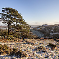 Buy canvas prints of Frosty Morning at Honeybag Tor, Dartmoor by Bruce Little