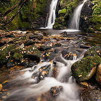 Buy canvas prints of Enchanting Twin Waterfalls in Dartmoor by Bruce Little
