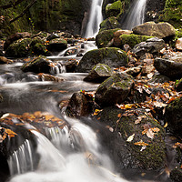 Buy canvas prints of Twin waterfalls on the Venford Brook, Dartmoor by Bruce Little