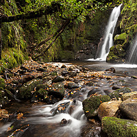 Buy canvas prints of Enchanting Twin Waterfalls in Dartmoor by Bruce Little
