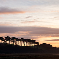 Buy canvas prints of Treeline at Ottermouth by Bruce Little