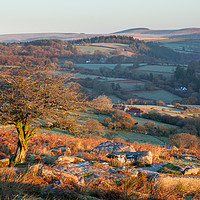 Buy canvas prints of View from Combestone Tor by Bruce Little