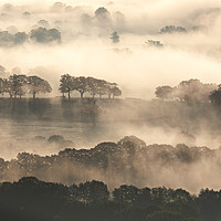 Buy canvas prints of foggy tree lines by Bruce Little