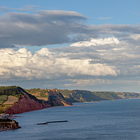 Buy canvas prints of Sidmouth panorama by Bruce Little