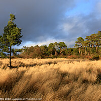 Buy canvas prints of Dramatic light on Mutters Moor  by Bruce Little