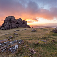 Buy canvas prints of Sunrise at Hay Tor by Bruce Little