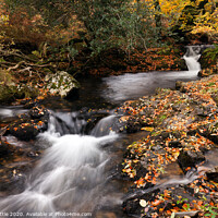 Buy canvas prints of Rushing Waters of Belstone Cleave by Bruce Little