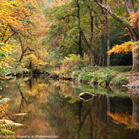 Buy canvas prints of Autumnal River Teign at Fingle Bridge by Bruce Little