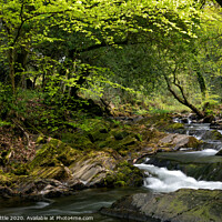 Buy canvas prints of Springtime Dartmoor river by Bruce Little