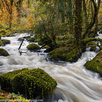 Buy canvas prints of Autumnal Dartmoor Rapids by Bruce Little