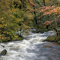 Buy canvas prints of River Bovey Rapids by Bruce Little