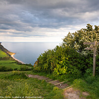 Buy canvas prints of The coast path at Salcombe Hill, Devon by Bruce Little