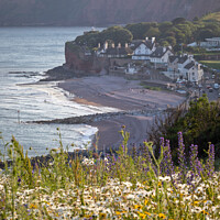 Buy canvas prints of Sidmouth Summertime by Bruce Little