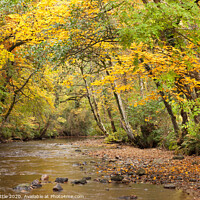 Buy canvas prints of Autumnal Dartmoor by Bruce Little