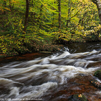 Buy canvas prints of River Teign Rapids by Bruce Little