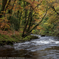 Buy canvas prints of Autumnal River Dart by Bruce Little