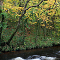 Buy canvas prints of River Teign in Autumn by Bruce Little