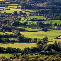 Buy canvas prints of Dartmoor Patchwork by Bruce Little