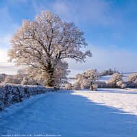 Buy canvas prints of East Devon Snowy Scene by Bruce Little