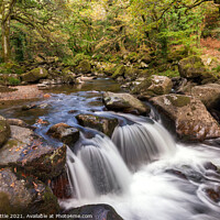 Buy canvas prints of Falls on the Plym, Dewerstone Woods by Bruce Little