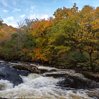 Buy canvas prints of River Dart Rapids by Bruce Little