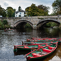 Buy canvas prints of Rowing Boats tied up on Riverside by Joy Newbould