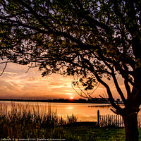 Buy canvas prints of Sunset at Horsey Mere Norfolk by Joy Newbould
