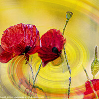 Buy canvas prints of Poppies Digital Art  by Joy Newbould